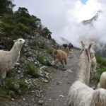 Panoramic view of the Salkantaypampa Valley with snow-capped Salkantay mountain, an impressive salkantay trek photo spot.
