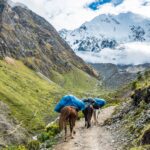 Mules carrying gear on the winding descent trail near Wayracmachay, an iconic salkantay trek photo spot.