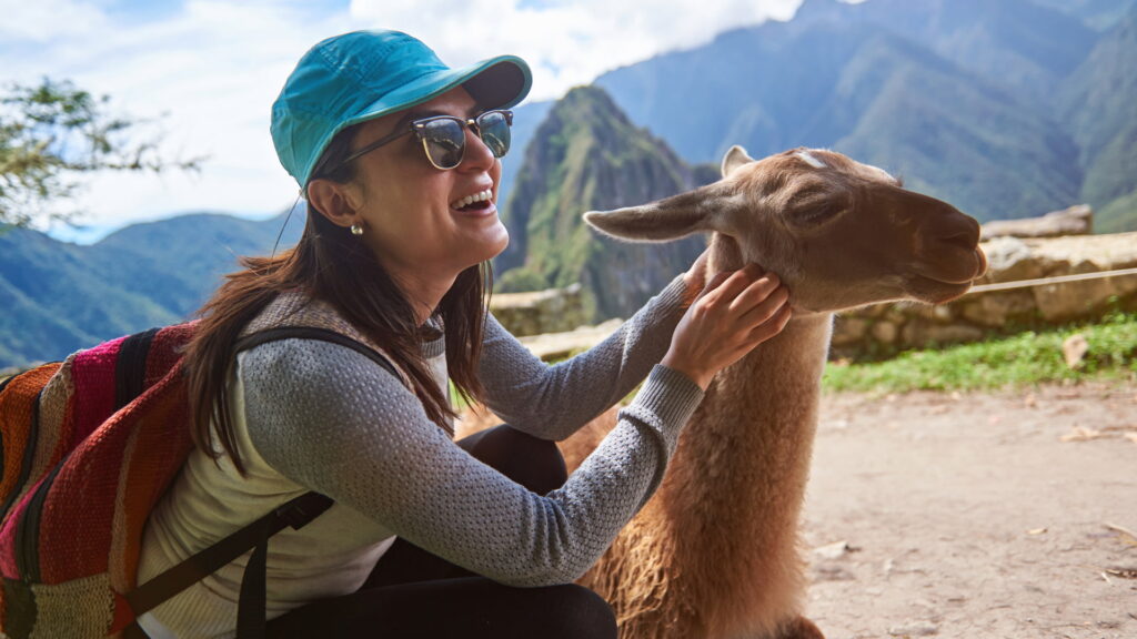 A smiling hiker interacting with a llama, representing the cultural rewards of the Inca Trail Booking Benefits - Peru Hikers